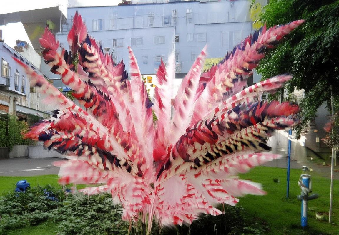 高诗岩：从新星到明星的篮球成长之路